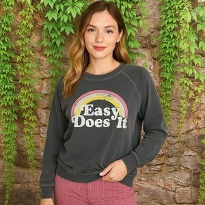 NWT WILDFOX Gray Rainbow Easy Does It Distressed French Terry Sweatshirt, L